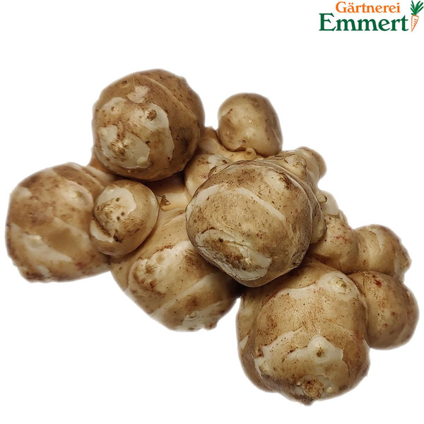 Produktfoto zu Topinambur