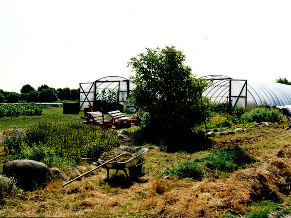 Die Anfänge der Gärtnerei Emmert. Zwei Folientunnel und ein Kräuterbeet