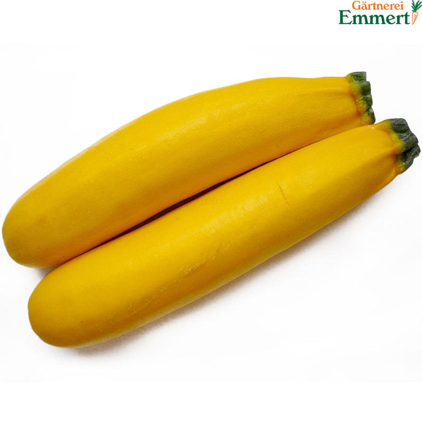 Produktfoto zu Zucchini gelb