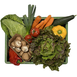 Produktfoto zu Gemüsekiste Super(GXL)