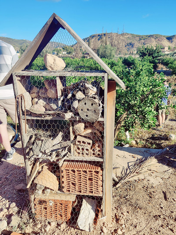 KI generiert: Das Bild zeigt ein Insektenhotel in einer natürlichen Umgebung. Es besteht aus verschiedenen Materialien wie Holz, Ziegeln und Steinen, die zur Förderung der Biodiversität dienen.