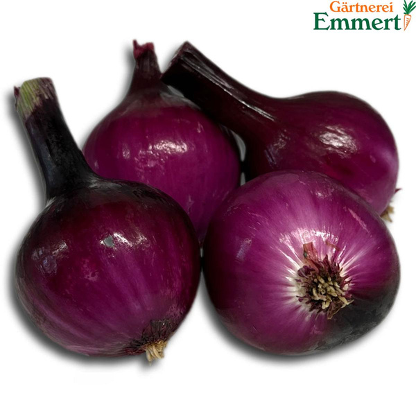 Produktfoto zu Zwiebeln rot, frisch