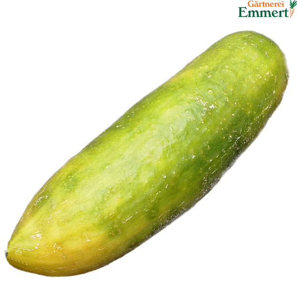 Produktfoto zu Schmorgurken