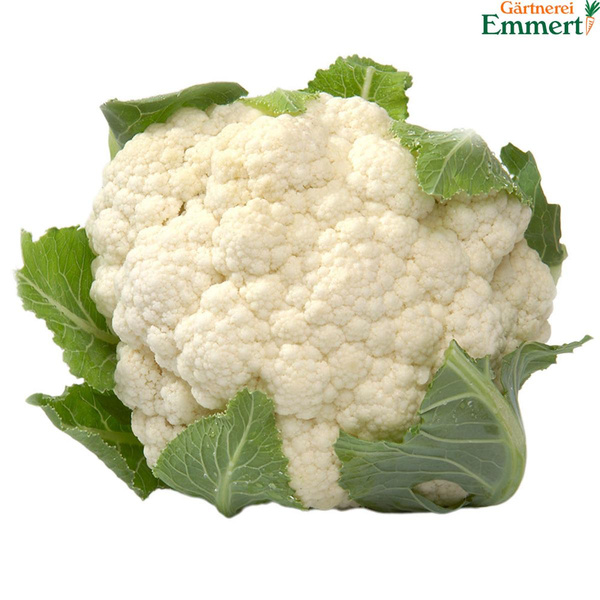 Produktfoto zu Blumenkohl