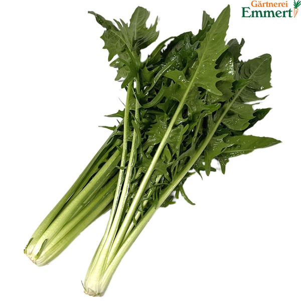 Produktfoto zu Catalogna weiß