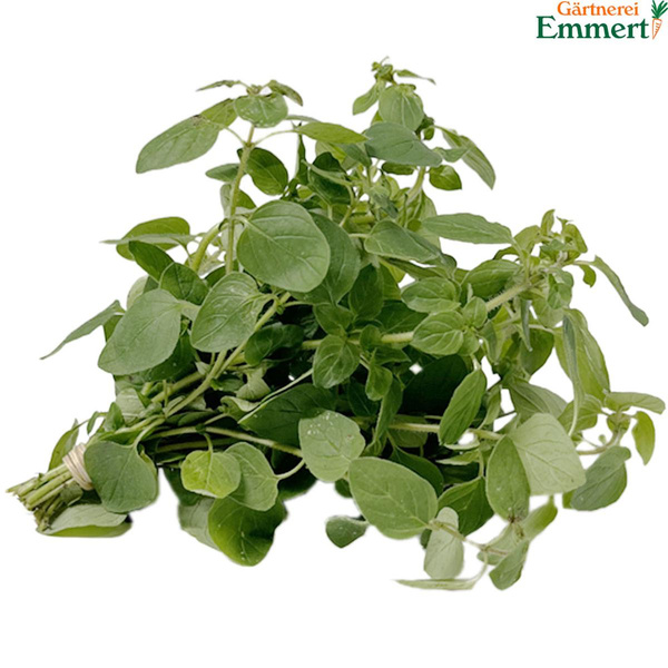 Produktfoto zu Oregano