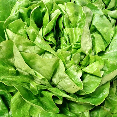Produktfoto zu Salat,bunt