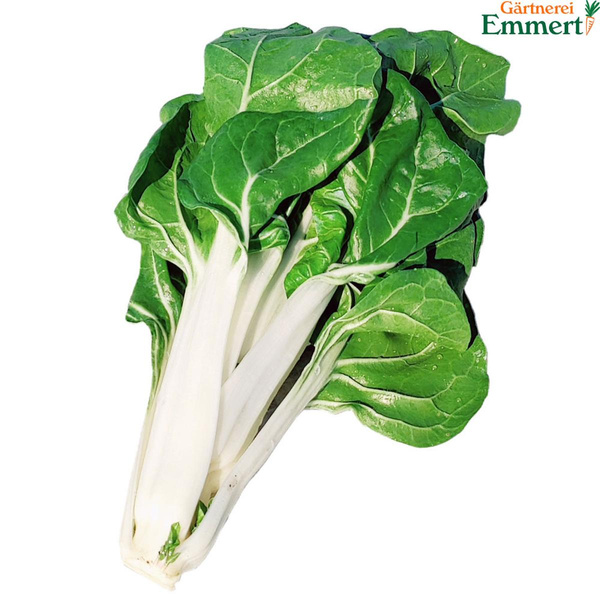 Produktfoto zu Mangold