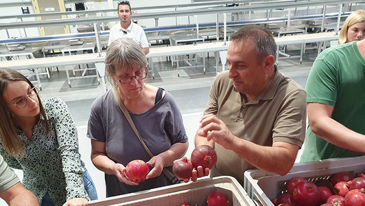 Hedda und Jaime bei Ecollevant sehen sich Granatäpfel an