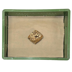 Produktfoto zu Brötchen 1 Bohlsen(b1b)