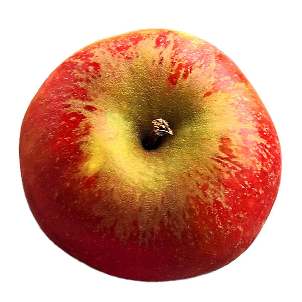 Produktfoto zu Apfel Holsteiner Cox