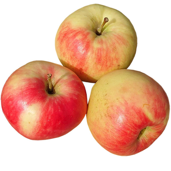 Produktfoto zu Apfel Deljonca