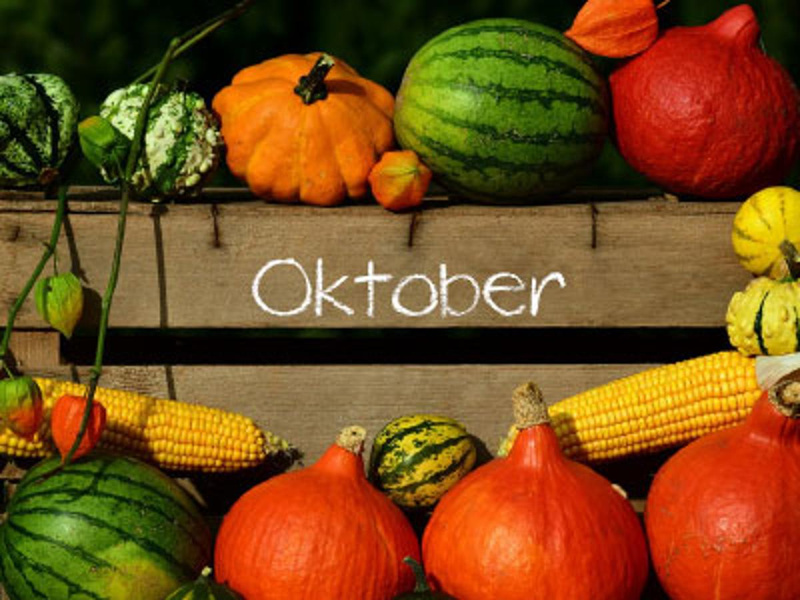 Angebot Oktober