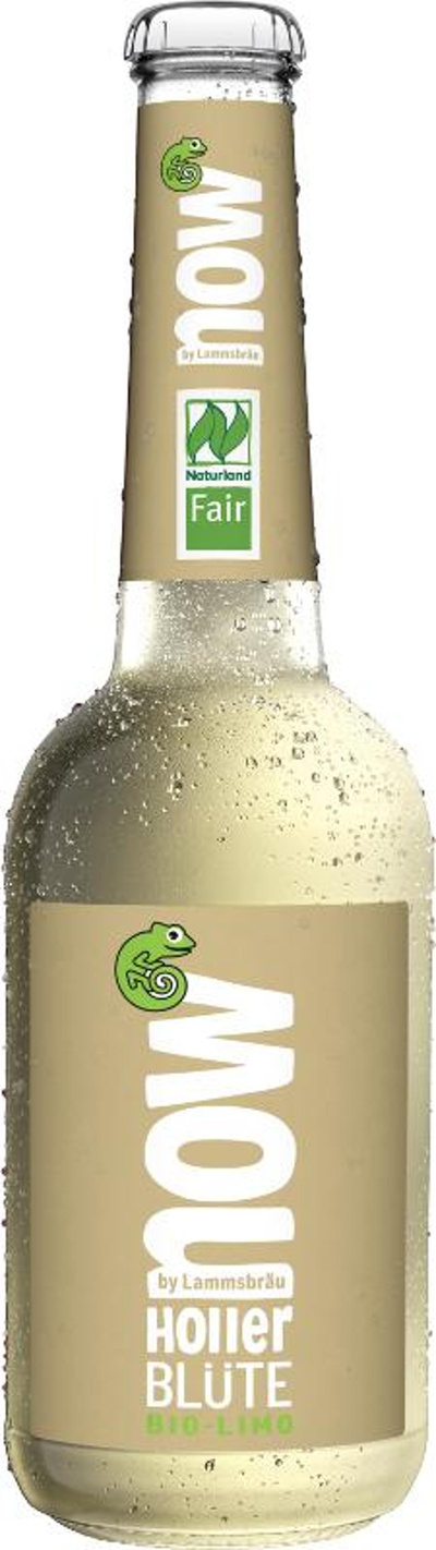 Produktfoto zu Now Hollerblüte, 10* 0,33 L