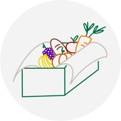 Icon einer gepackten Biokiste