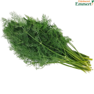 Produktfoto zu Dill