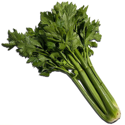 Produktfoto zu Stangensellerie