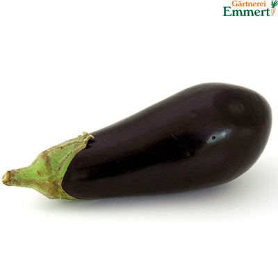 Produktfoto zu Aubergine