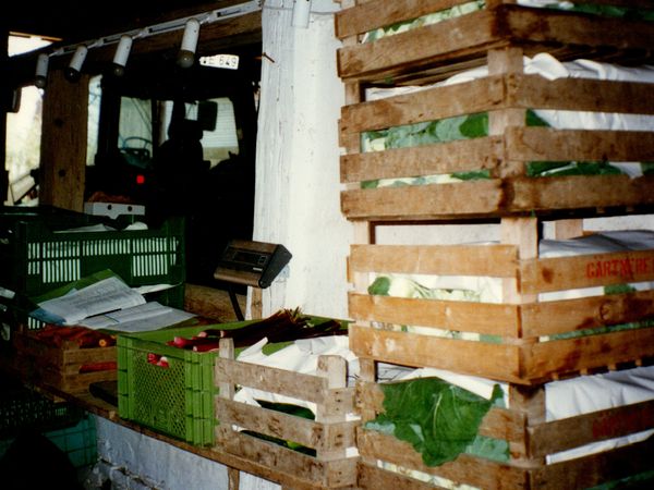 Die Anfänge der Biokiste. Gemüse packen in alter Fachwerkscheune