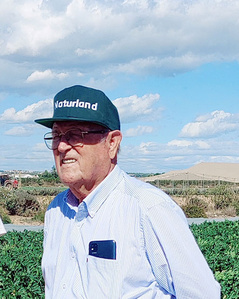 KI generiert: Ein Mann steht in einem Feld voller grüner Pflanzen, bekleidet mit einem gestreiften Hemd und einer Mütze. Die Umgebung ist ländlich mit sichtbarem blauen Himmel und Wolken im Hintergrund.