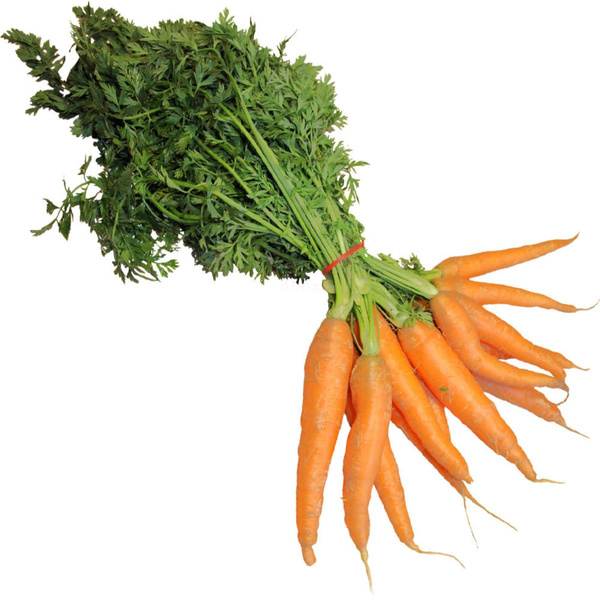 Produktfoto zu Bundmöhren