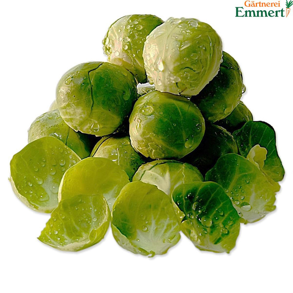 Produktfoto zu Rosenkohl