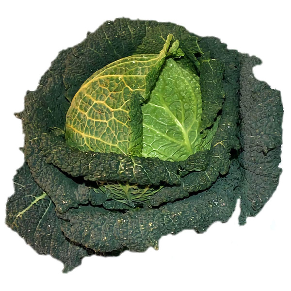 Produktfoto zu Wirsingkohl