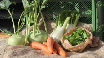 Bild von einer Biokiste