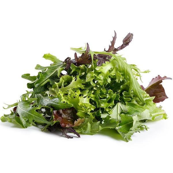 Produktfoto zu Schnittsalat