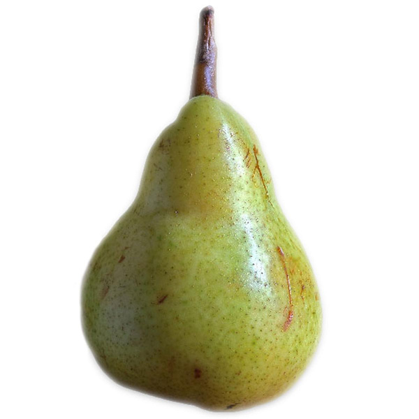 Produktfoto zu Birne 'Dessertnaja"