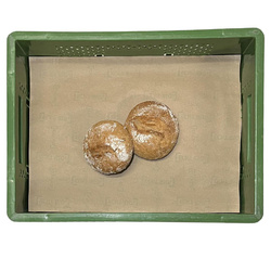 Produktfoto zu Brötchen 2 Bohlsen(b2b)