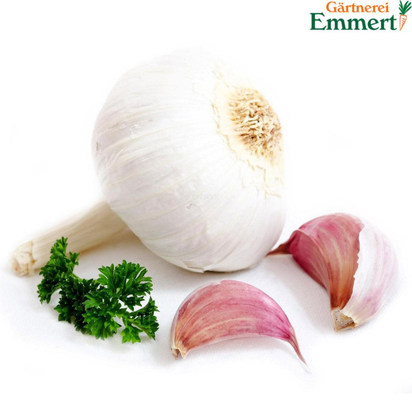 Produktfoto zu Knoblauch