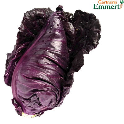 Produktfoto zu Spitzkohl blau