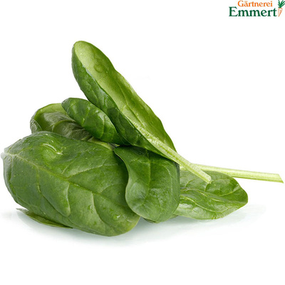 Produktfoto zu Spinat