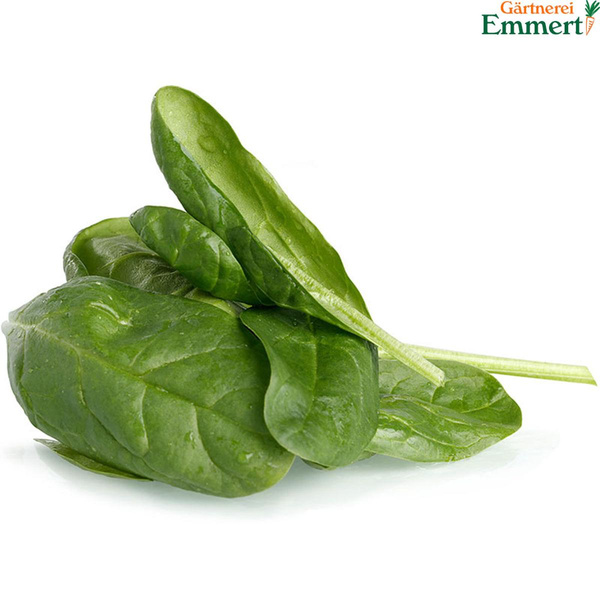 Produktfoto zu Spinat