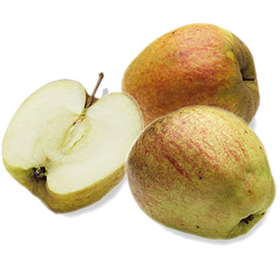 Produktfoto zu Apfel Finkenwerder Herbstprinz