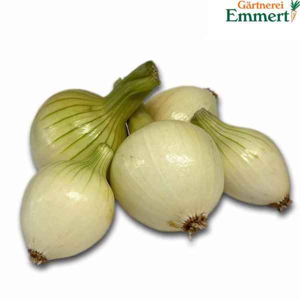 Produktfoto zu Zwiebeln frisch