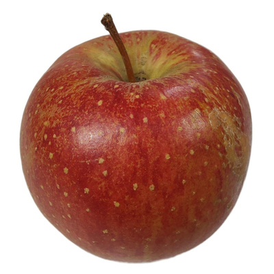 Produktfoto zu Apfel Wellant