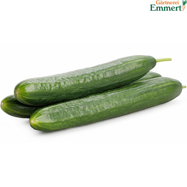 Produktfoto zu Salatgurken
