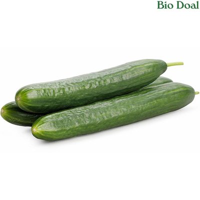 Produktfoto zu Gurke Bio Doal