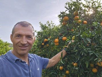 KI generiert: Das Bild zeigt einen Mann, der neben einem mit Orangen beladenen Baum steht. Der Hauptinhalt ist die Obstplantage mit den reifen Orangen.