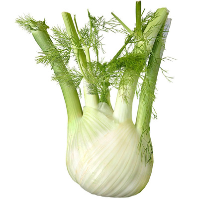 Produktfoto zu Fenchel