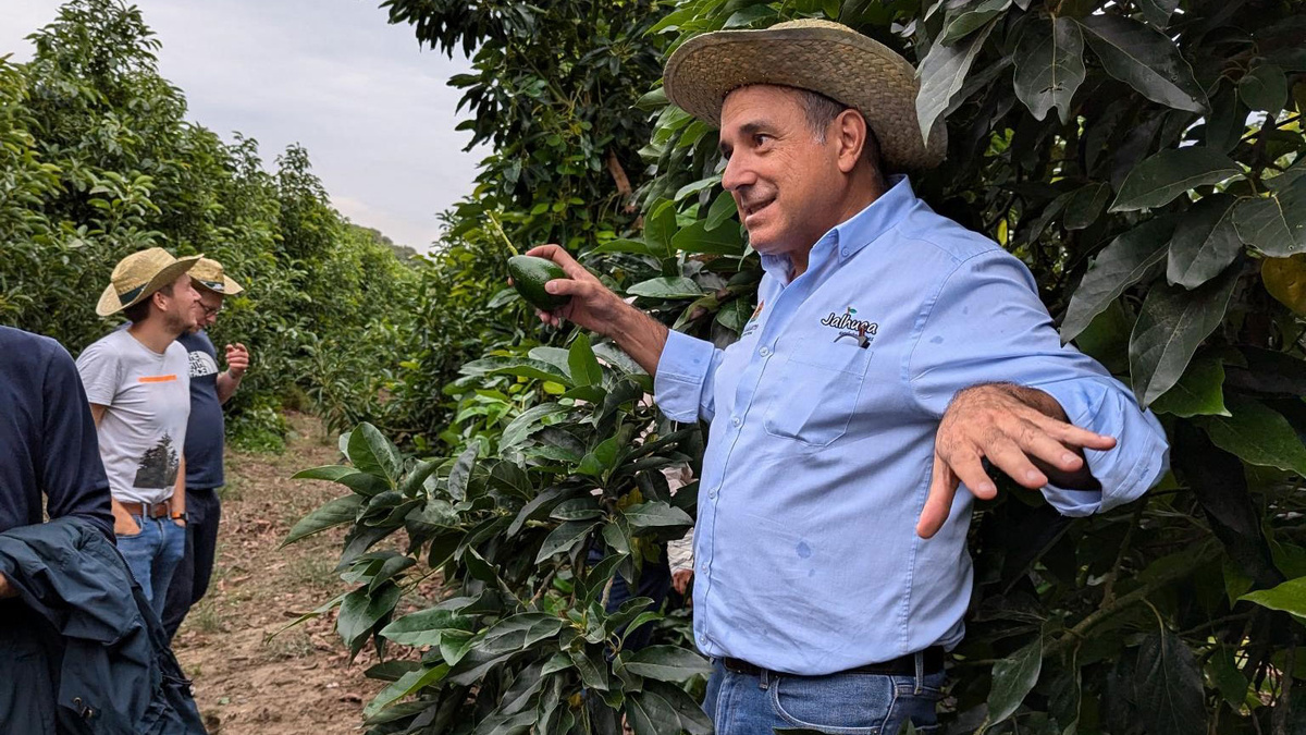KI generiert: Das Bild zeigt einen Mann mit einem Strohhut, der in einem Obstgarten steht und mit anderen Personen spricht. Im Vordergrund sind grüne Pflanzen zu sehen, während im Hintergrund weitere Personen den Austausch verfolgen.