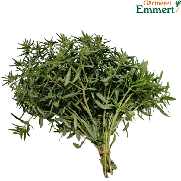 Produktfoto zu Bohnenkraut