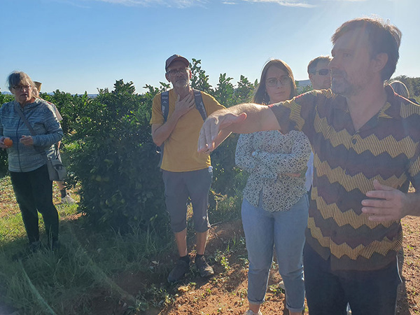 KI generiert: Eine Gruppe von Menschen steht in einem Garten oder einer Plantage, und eine Person im Vordergrund scheint etwas zu erklären oder zu zeigen. Im Hintergrund sind Sträucher oder niedrige Bäume erkennbar.