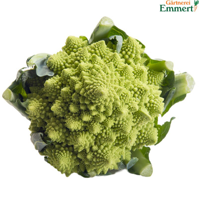 Produktfoto zu Romanesco