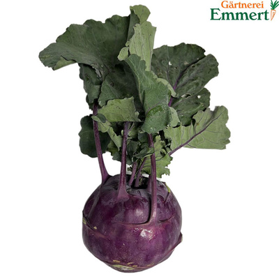 Produktfoto zu Kohlrabi blau