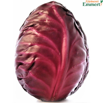 Produktfoto zu Rotkohl